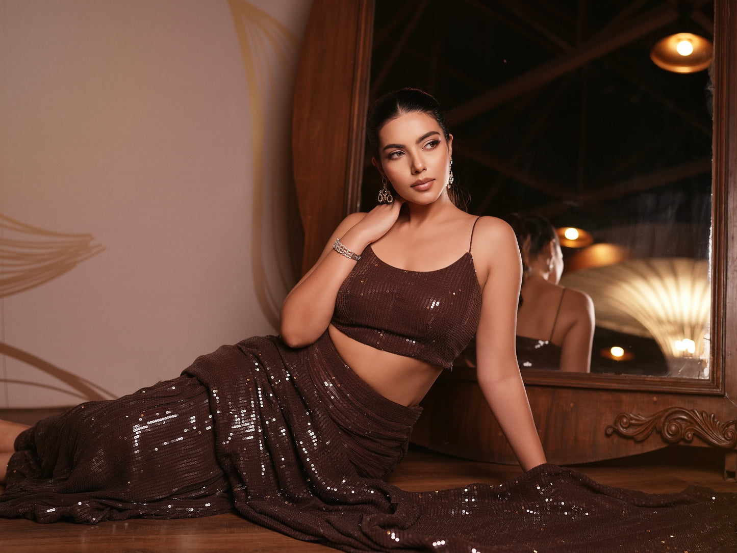 Brown sequin saree
